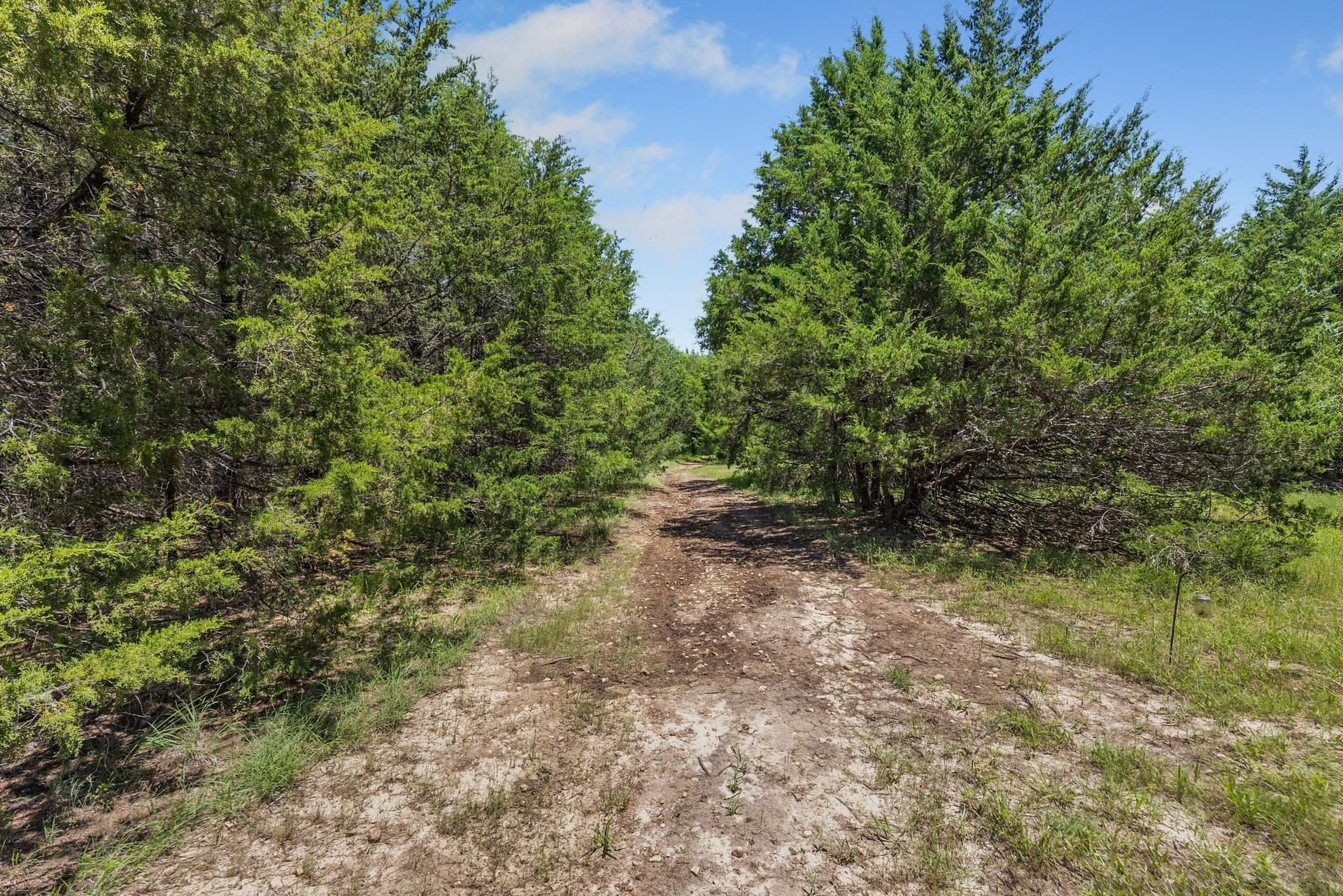 20 acres in Van Zandt County - photo 20