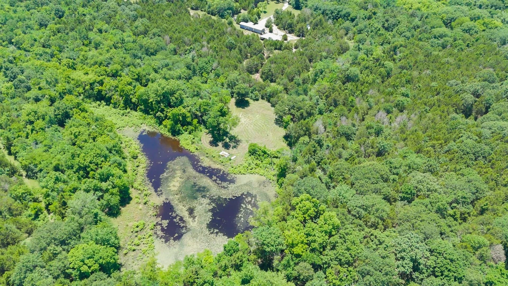 20 acres in Van Zandt County - photo 12