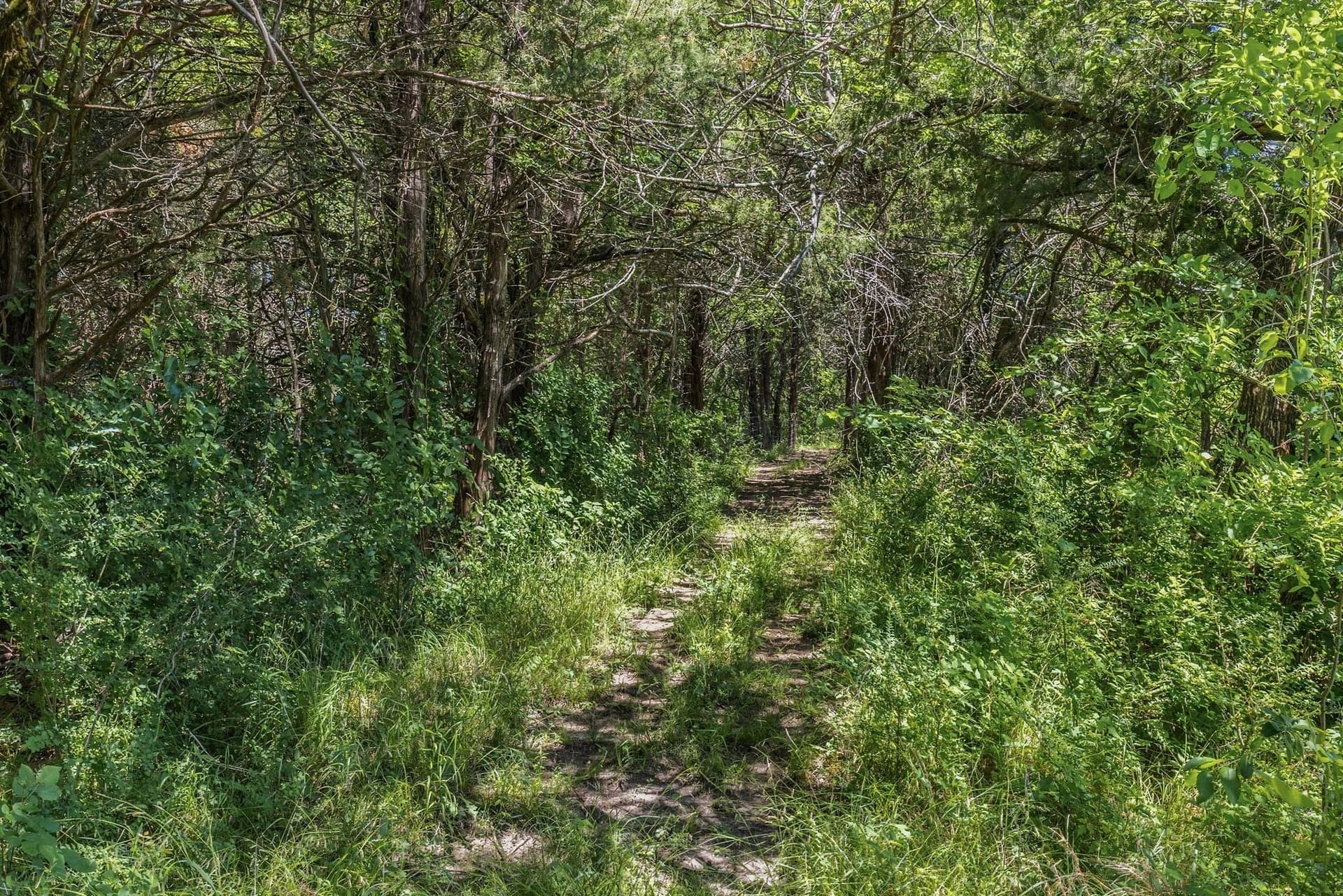 20 acres in Van Zandt County - photo 21