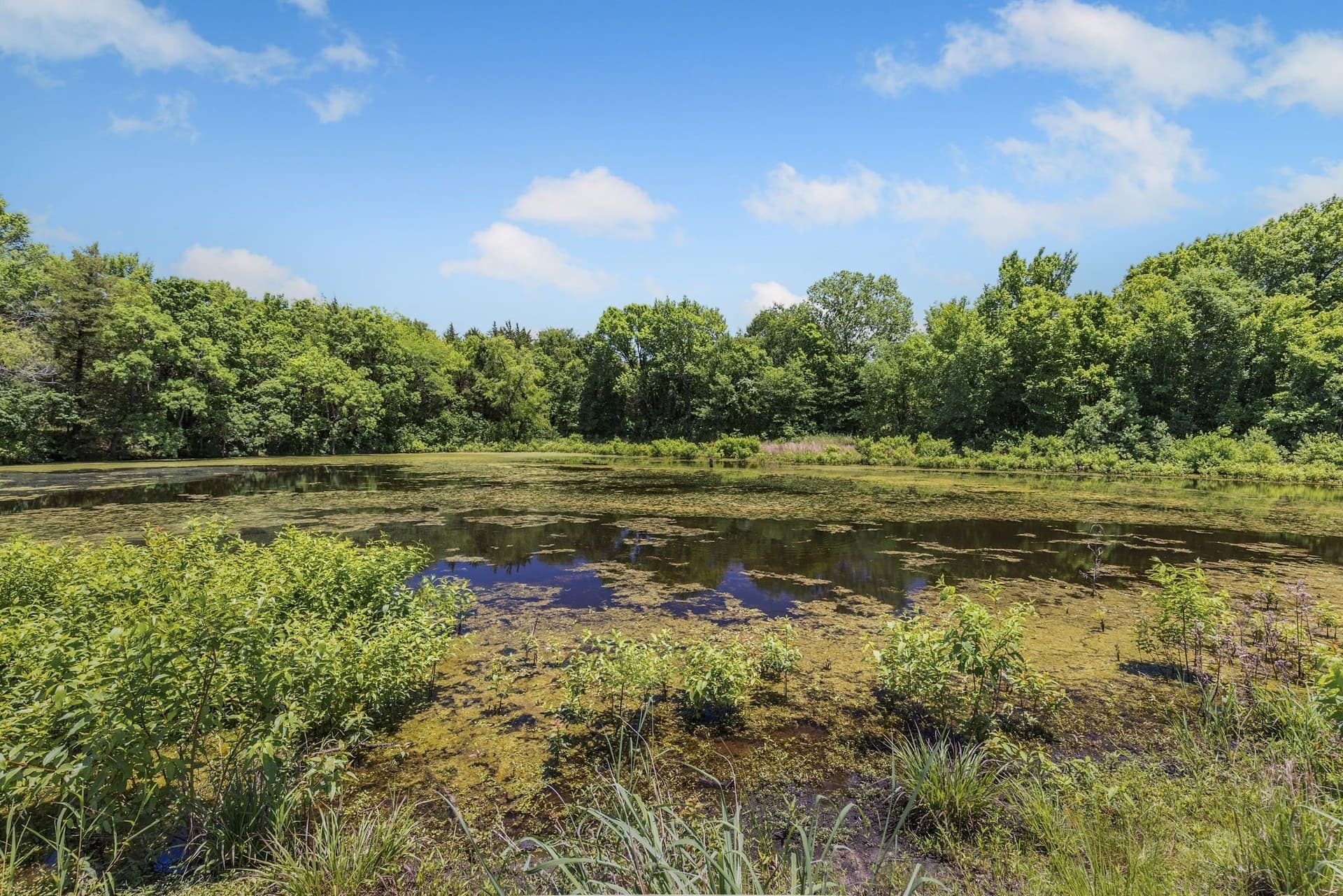 20 acres in Van Zandt County - photo 15