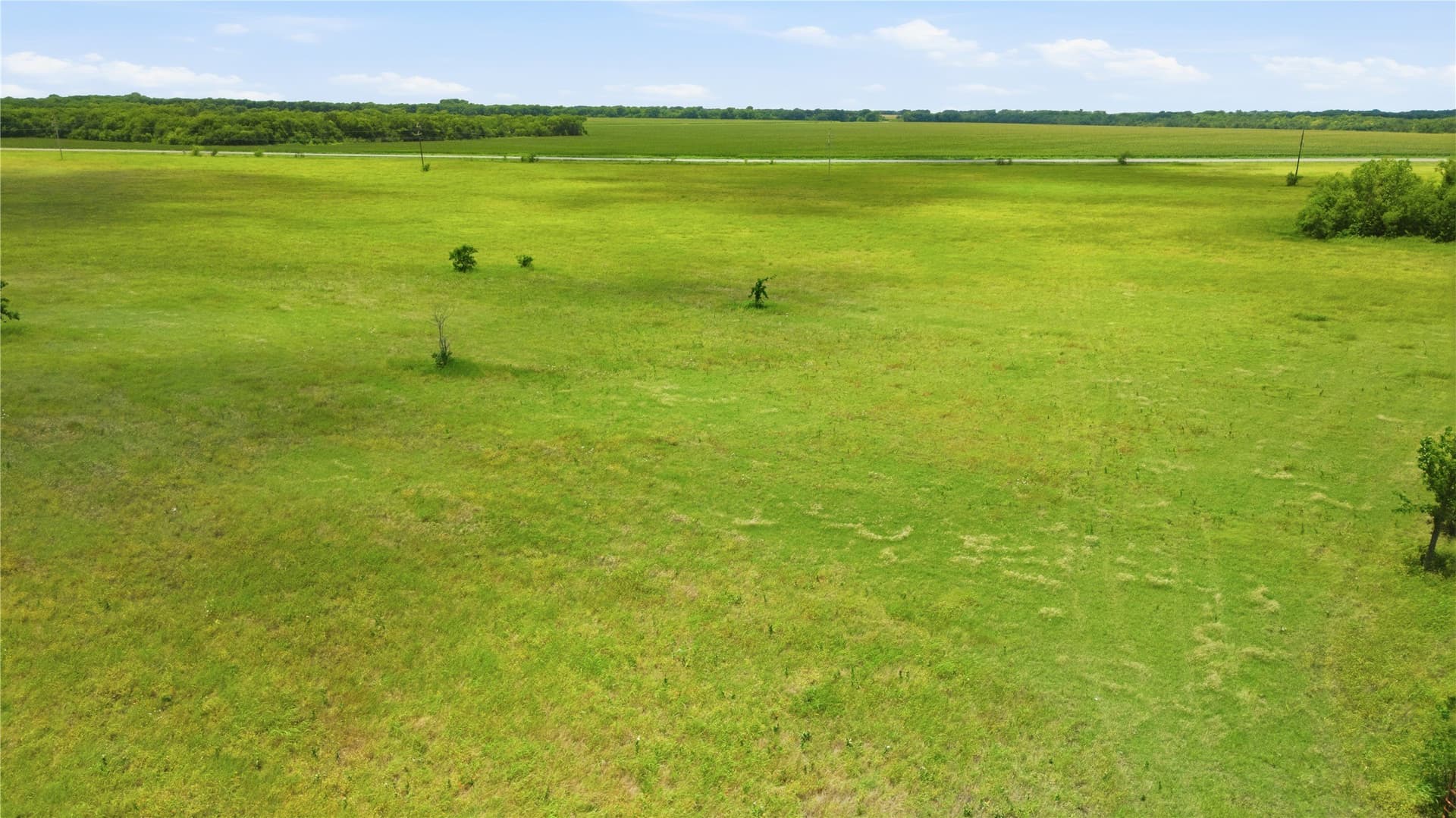 36.63 acres in Fannin County - photo 3