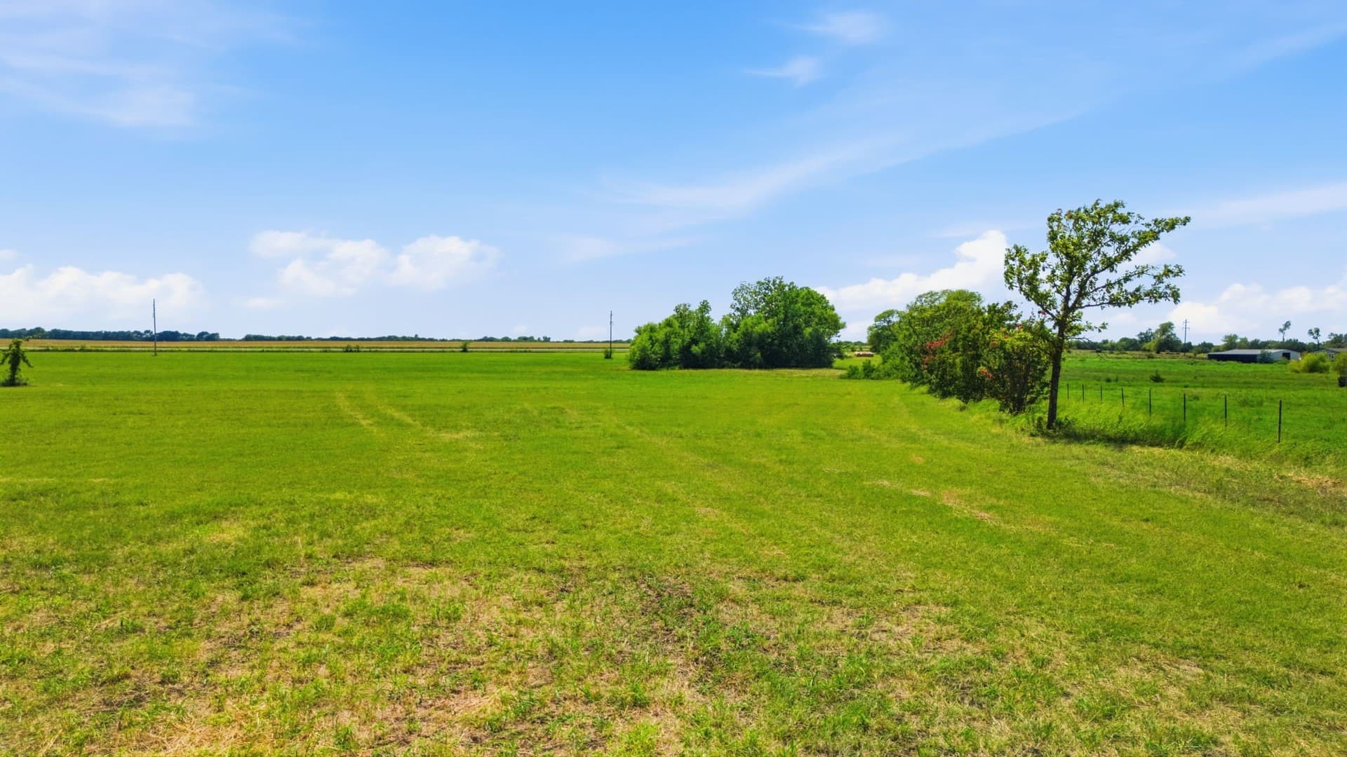 36.63 acres in Fannin County - photo 22