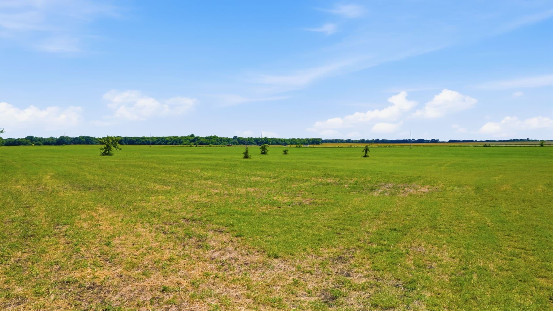 36.63 acres in Fannin County - photo 20