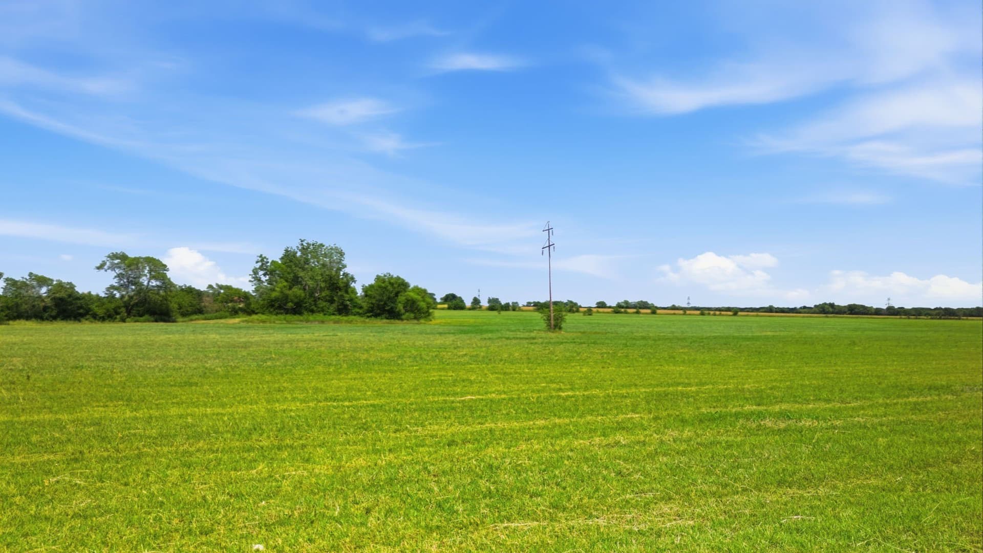 36.63 acres in Fannin County - photo 28