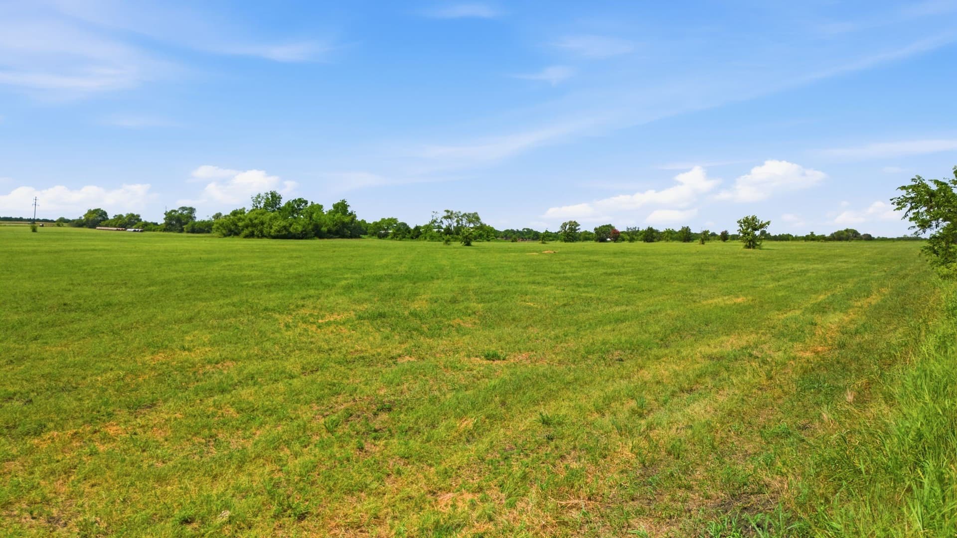 36.63 acres in Fannin County - photo 23