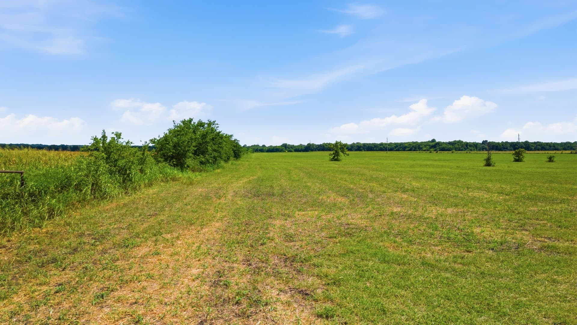 36.63 acres in Fannin County - photo 21