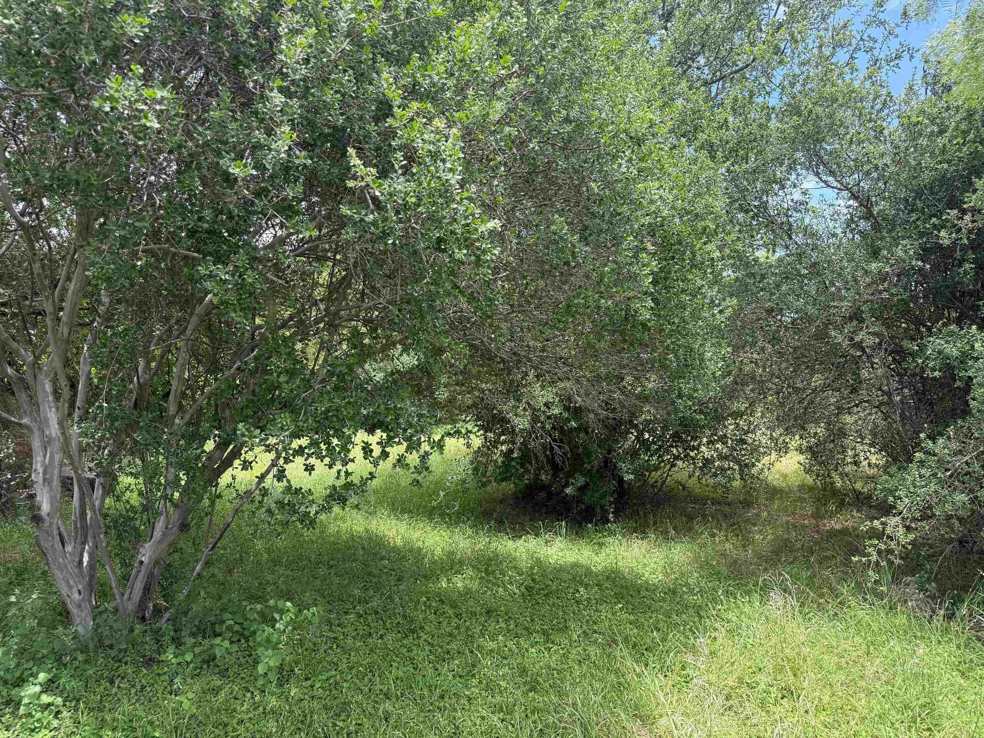 0.11 acres in Llano County gallery image 4