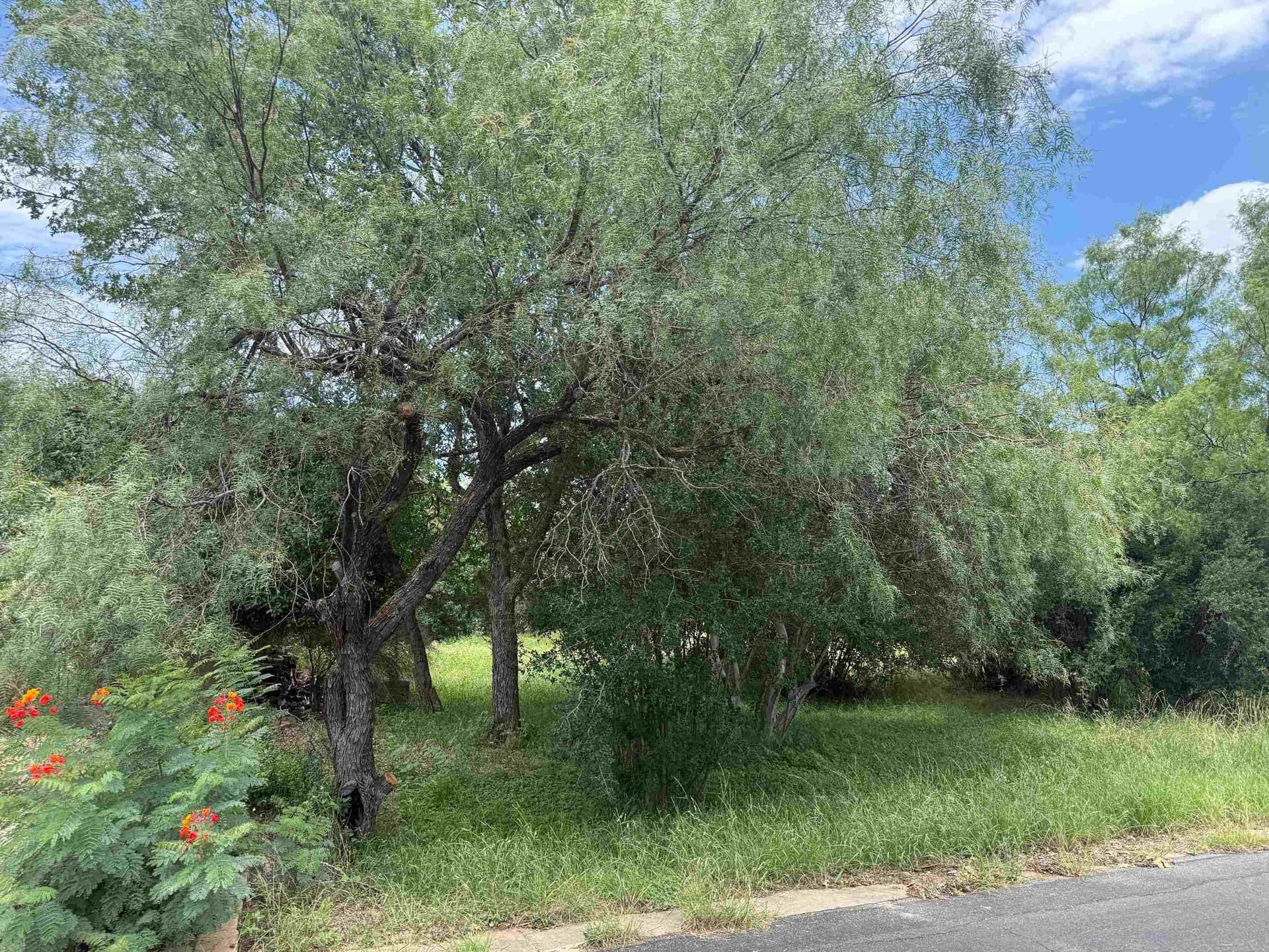 0.11 acres in Llano County gallery image 2