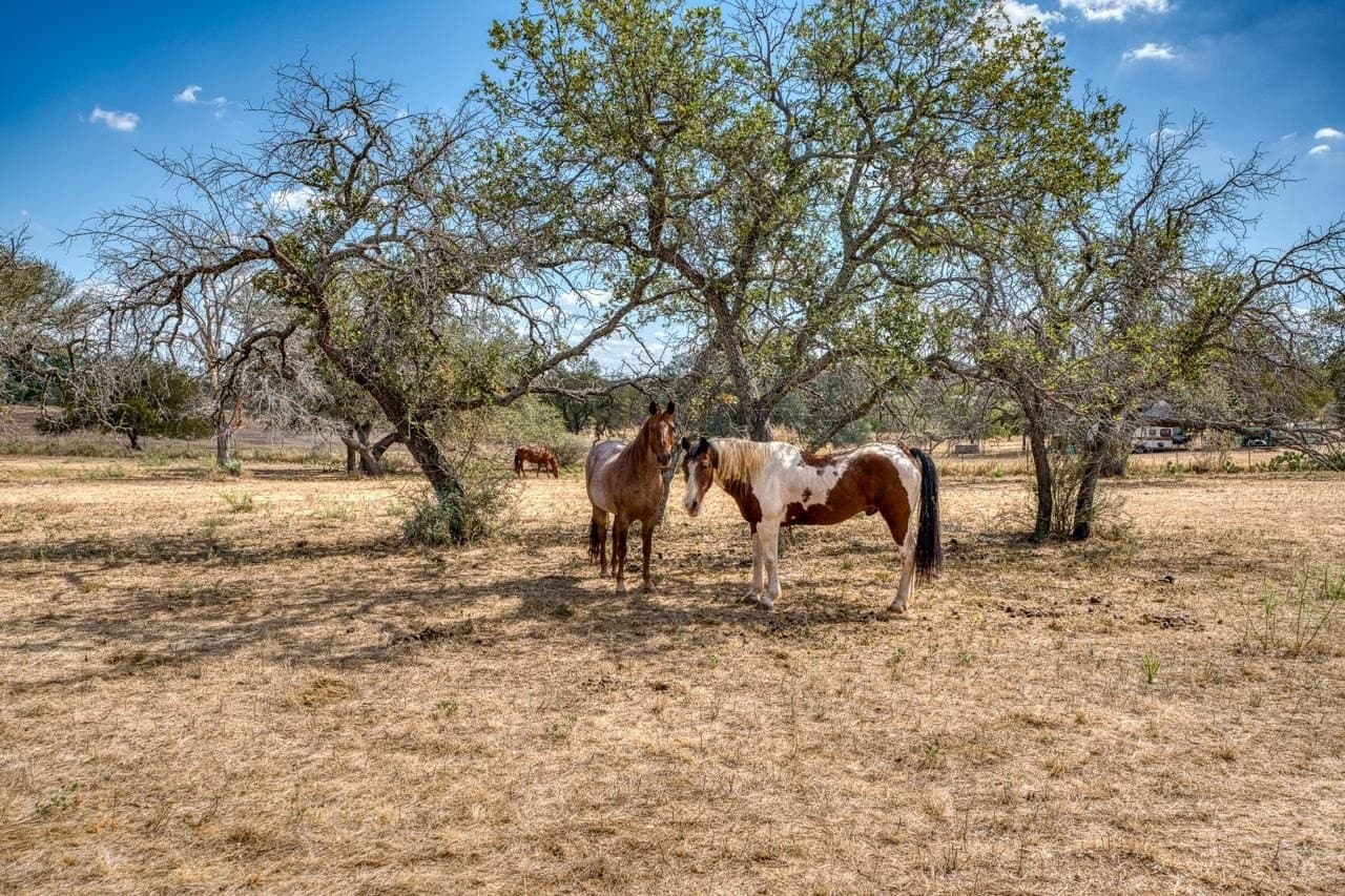 7 acres in Llano County featured view