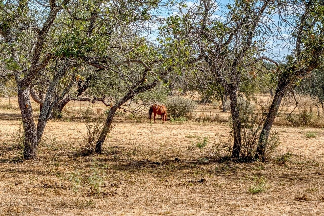 7 acres in Llano County - photo 7