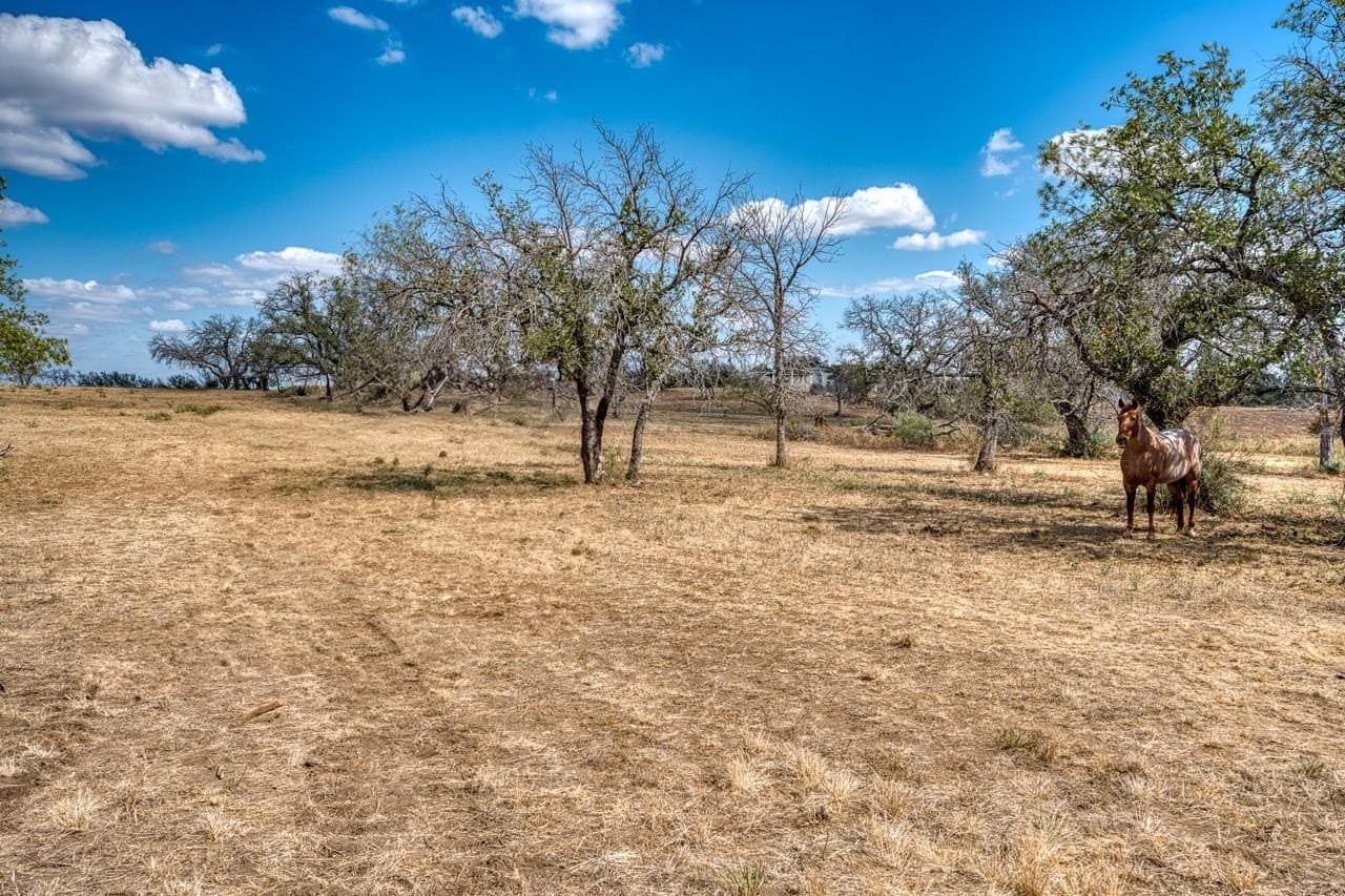 7 acres in Llano County - photo 14
