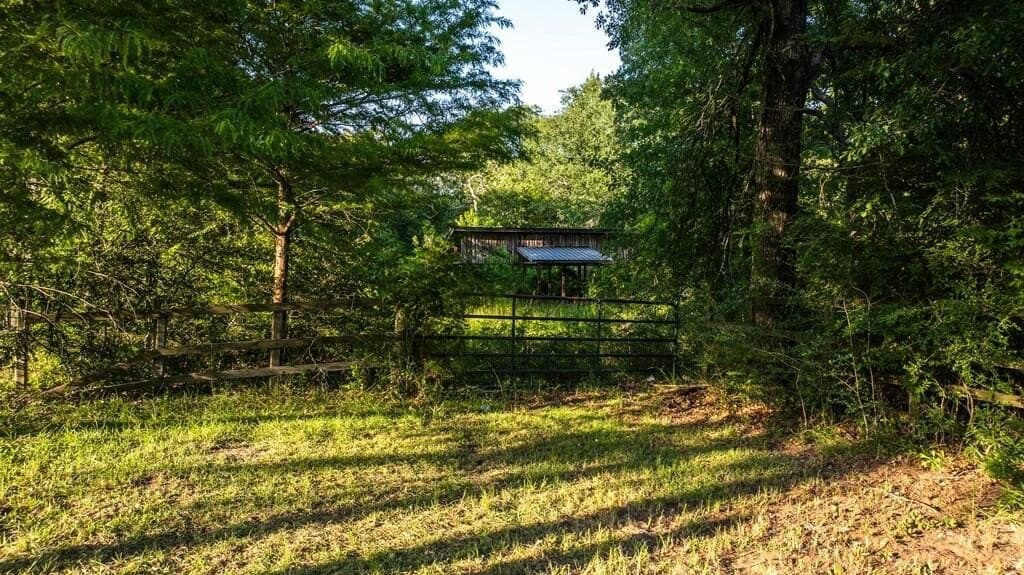 20 acres in ANDERSON County - photo 4