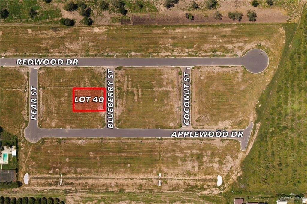 0.23 acres in Hidalgo County gallery image 2