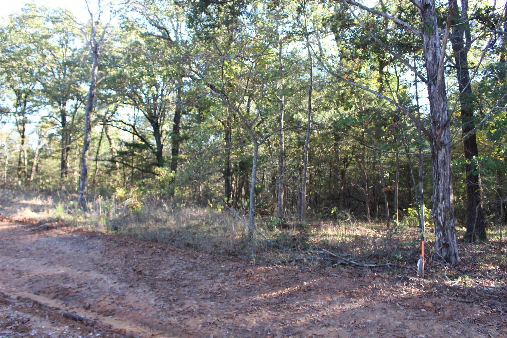 0.6 acres in Grayson County - photo 10