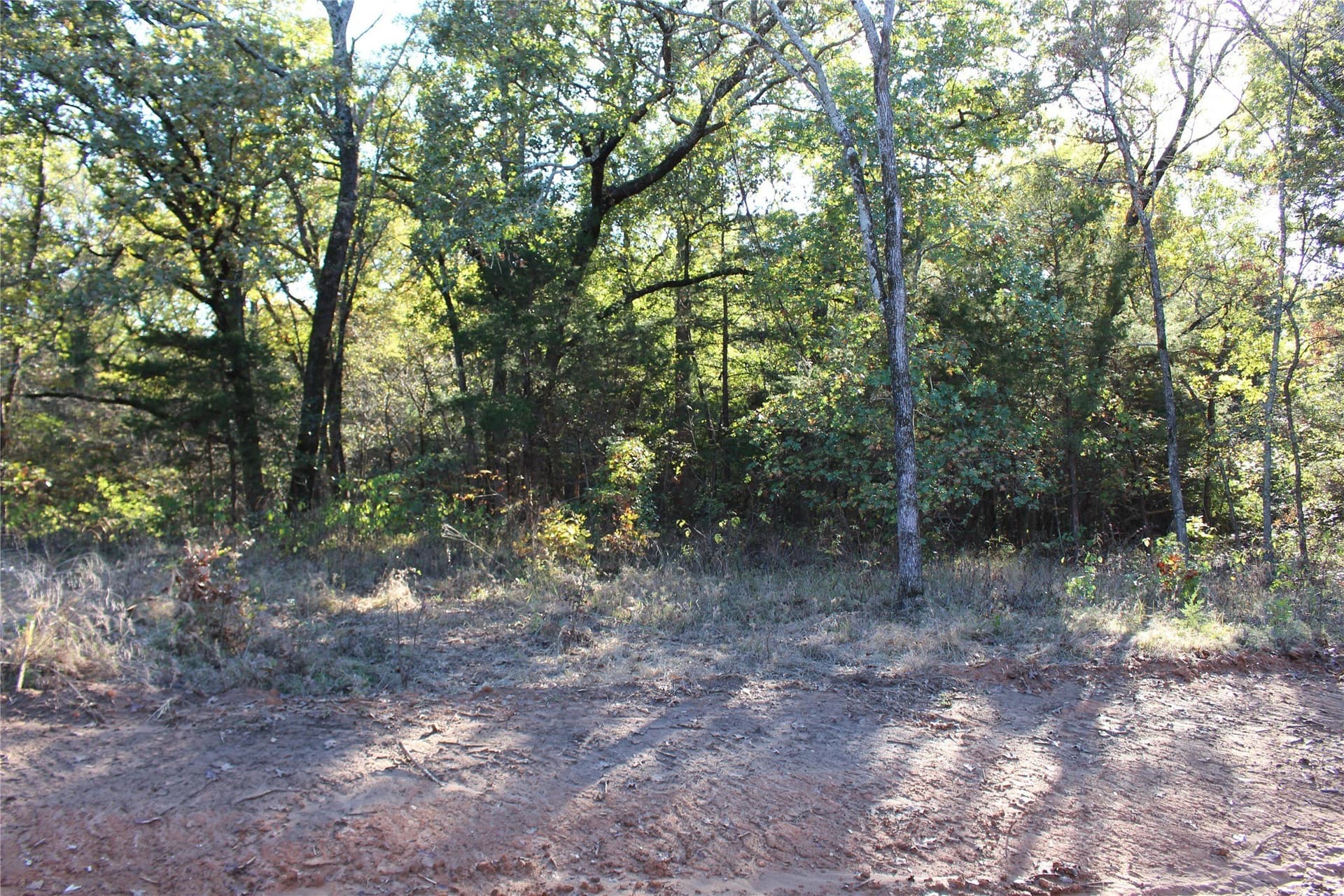 0.6 acres in Grayson County - photo 11