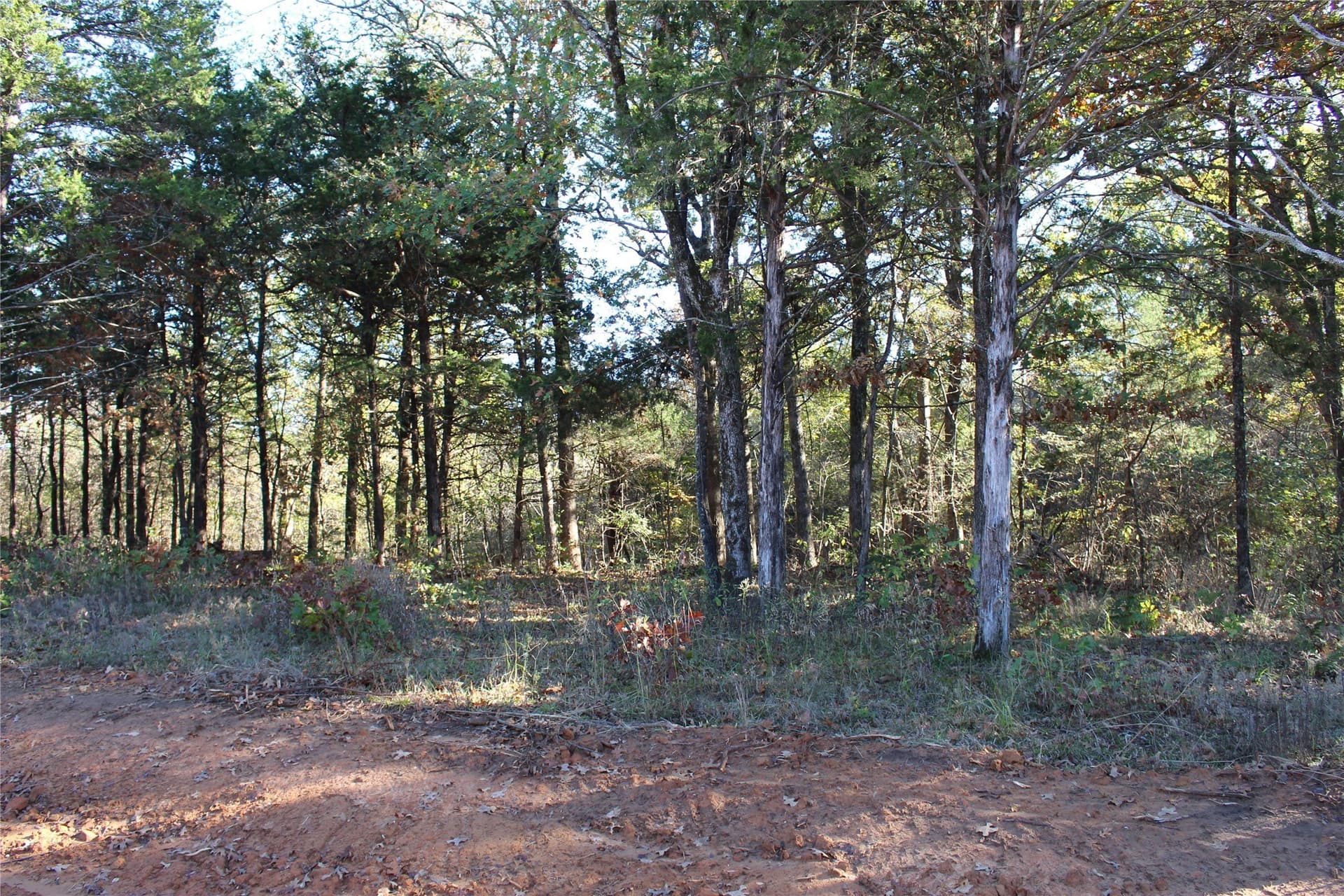 0.6 acres in Grayson County - photo 13