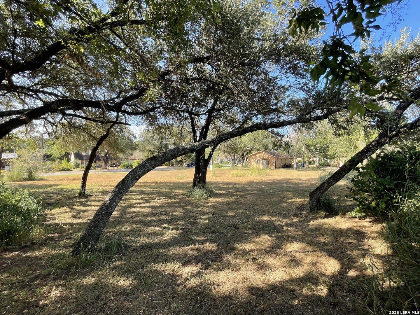 0.26 acres in Wilson County - photo 6