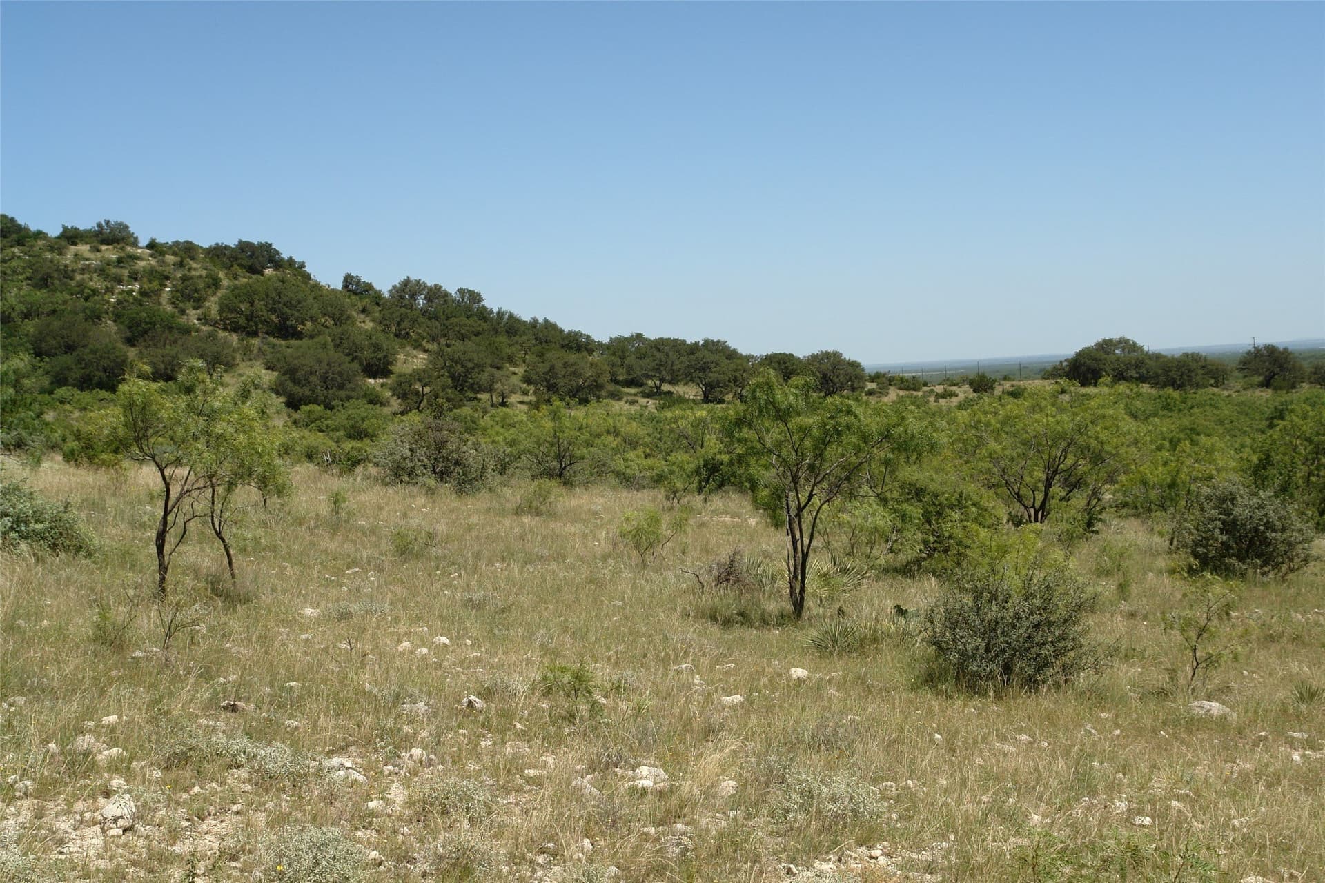 100 acres in McCulloch County - photo 6