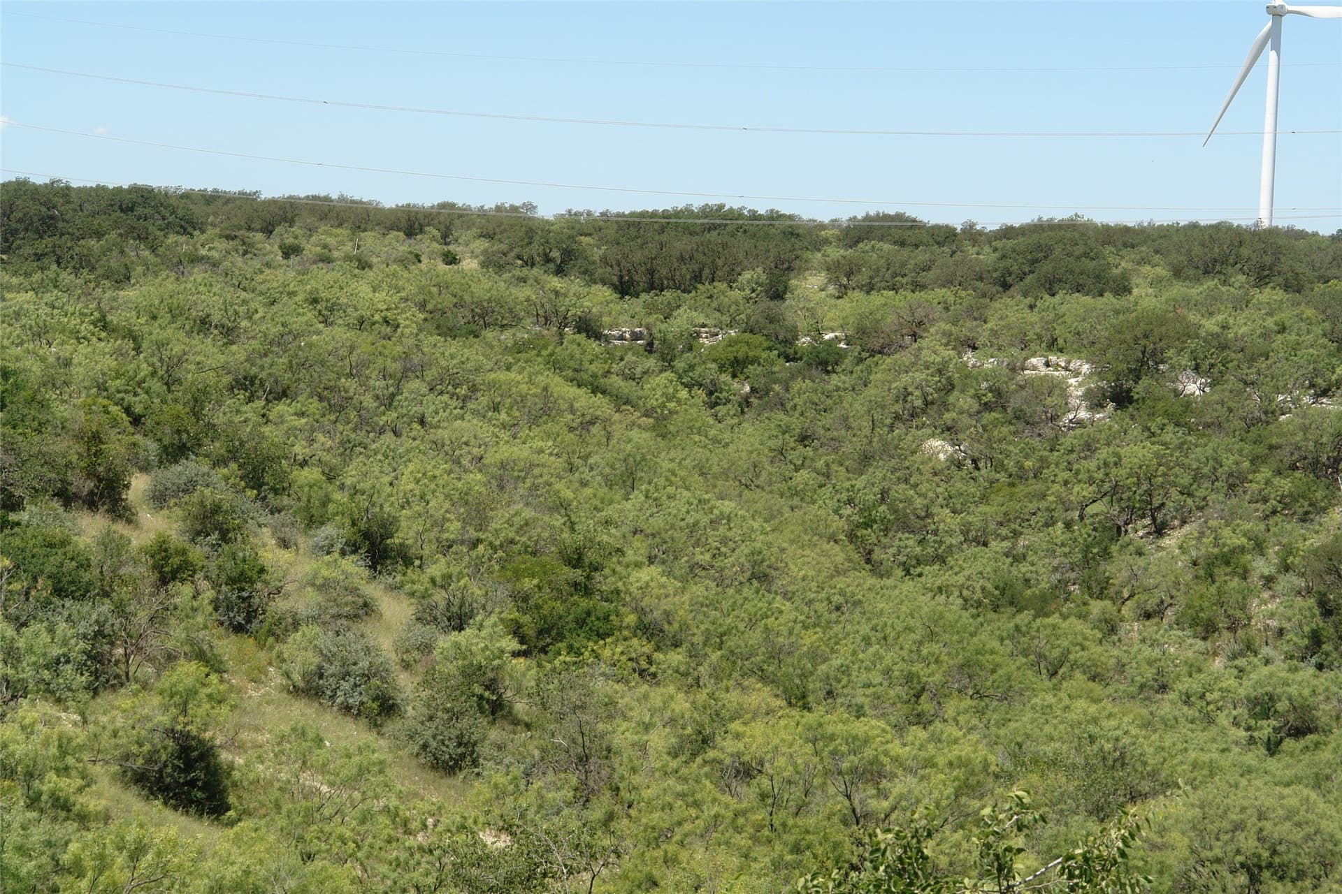 100 acres in McCulloch County - photo 9