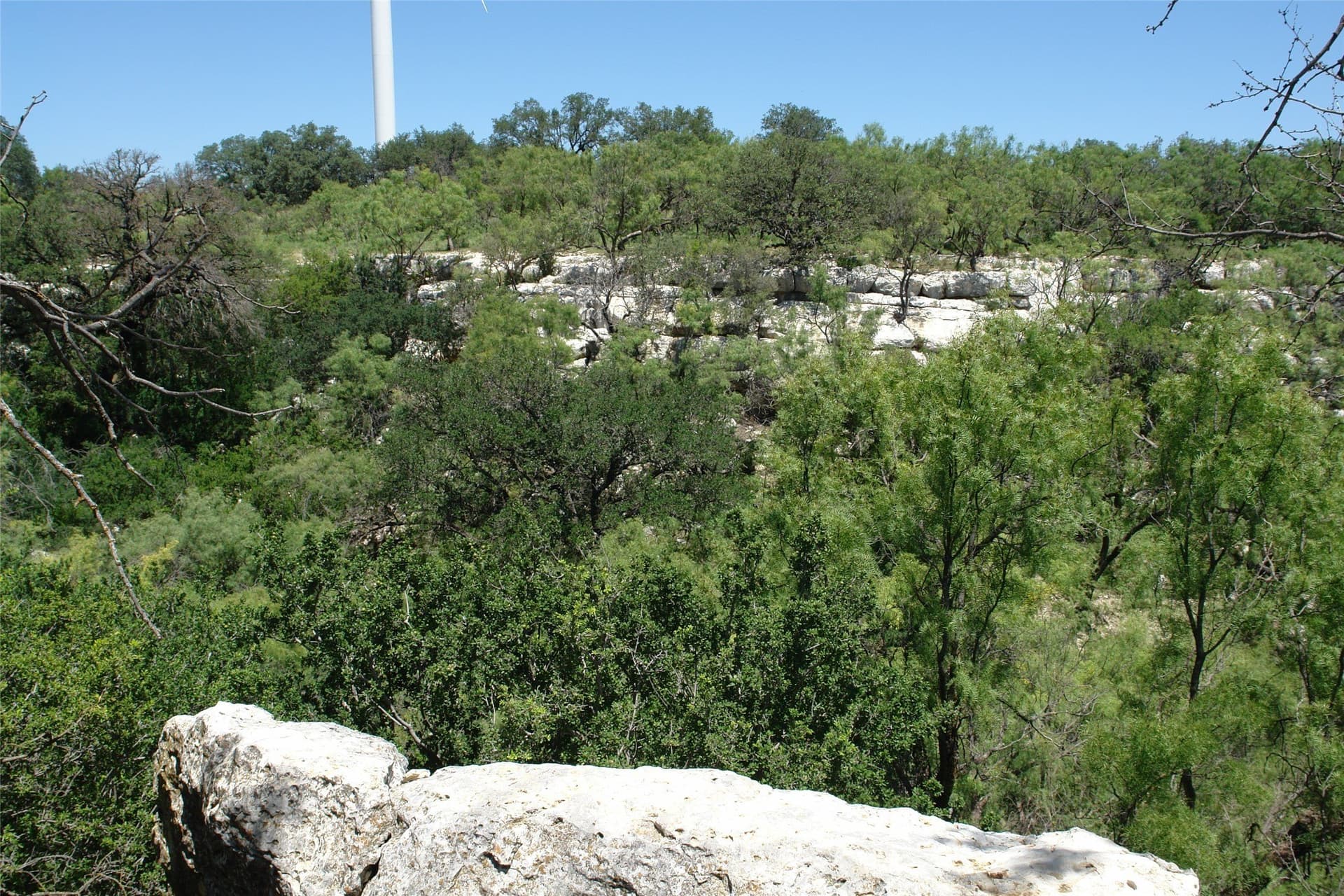 100 acres in McCulloch County - photo 15
