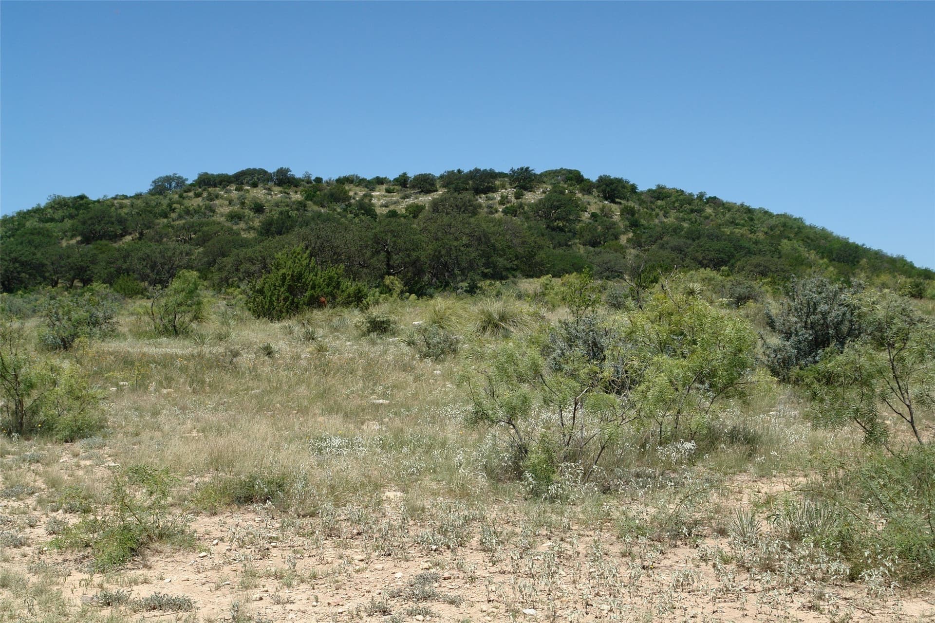 100 acres in McCulloch County - photo 7