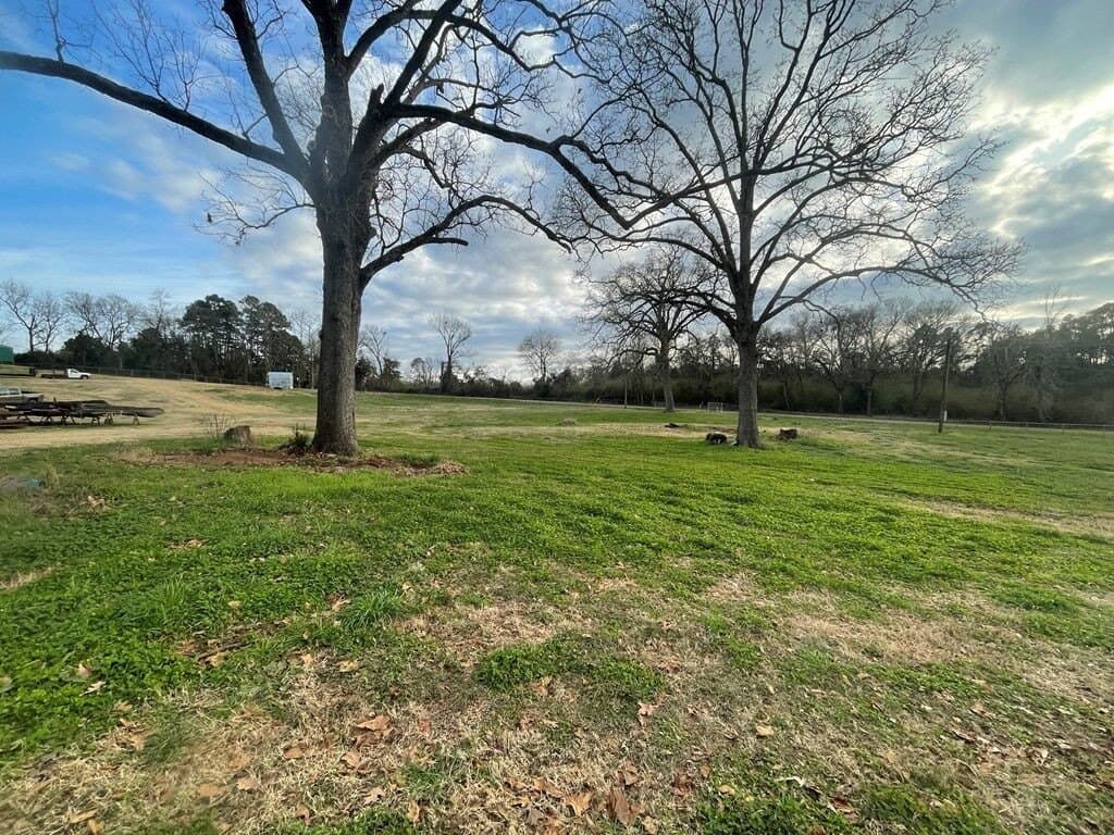 18 acres in Texas County - photo 4