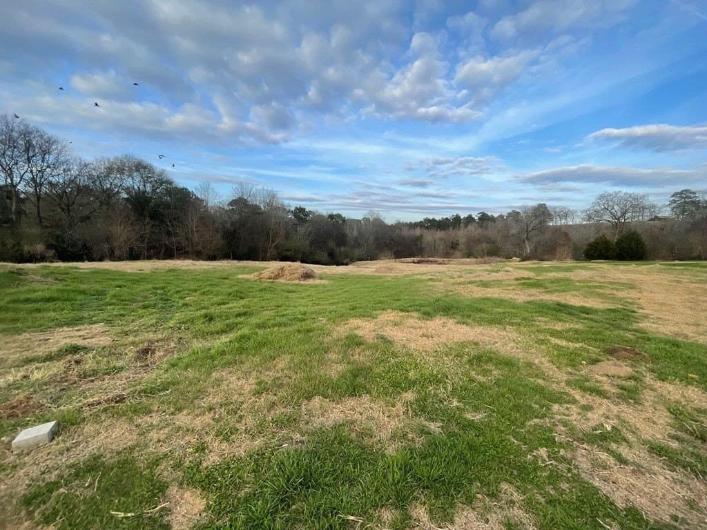 18 acres in Texas County - photo 5