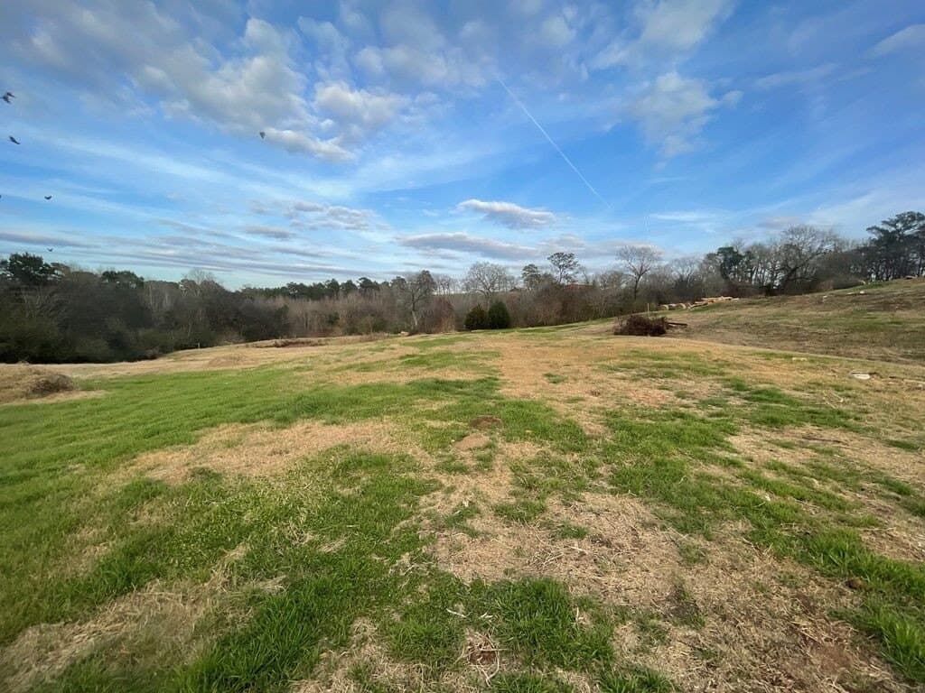 18 acres in Texas County - photo 9