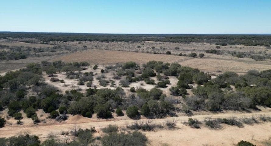 39.99 acres in McCulloch County gallery image 2