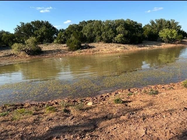 39.99 acres in McCulloch County gallery image 4