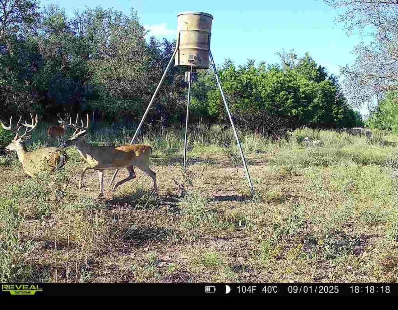 39.99 acres in McCulloch County featured view