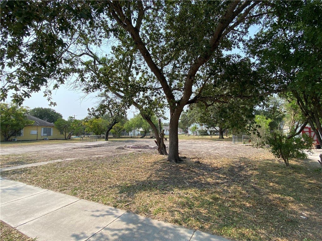 0.36 acres in San Patricio County gallery image 3