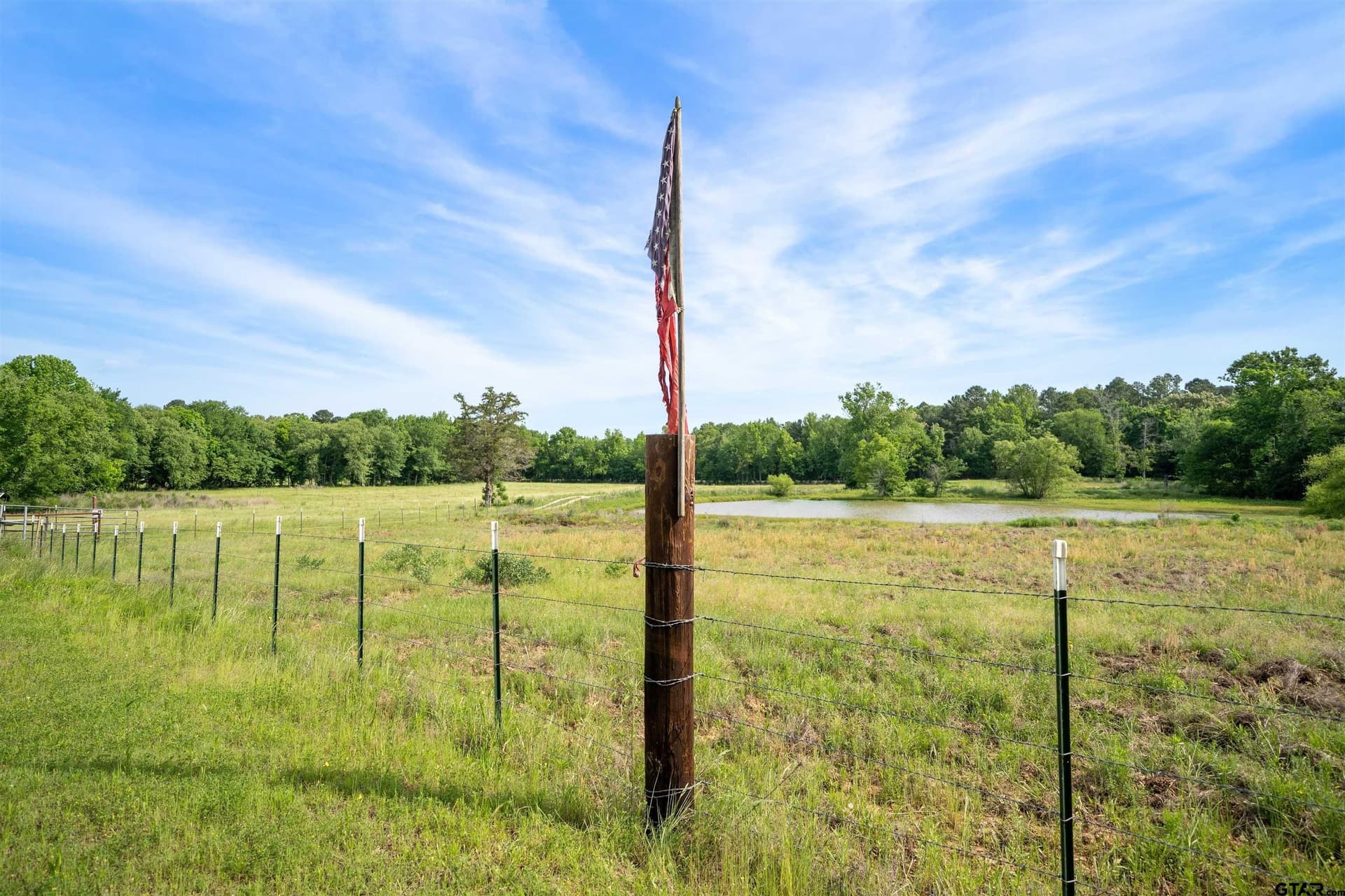 29.38 acres in Wood County - photo 12