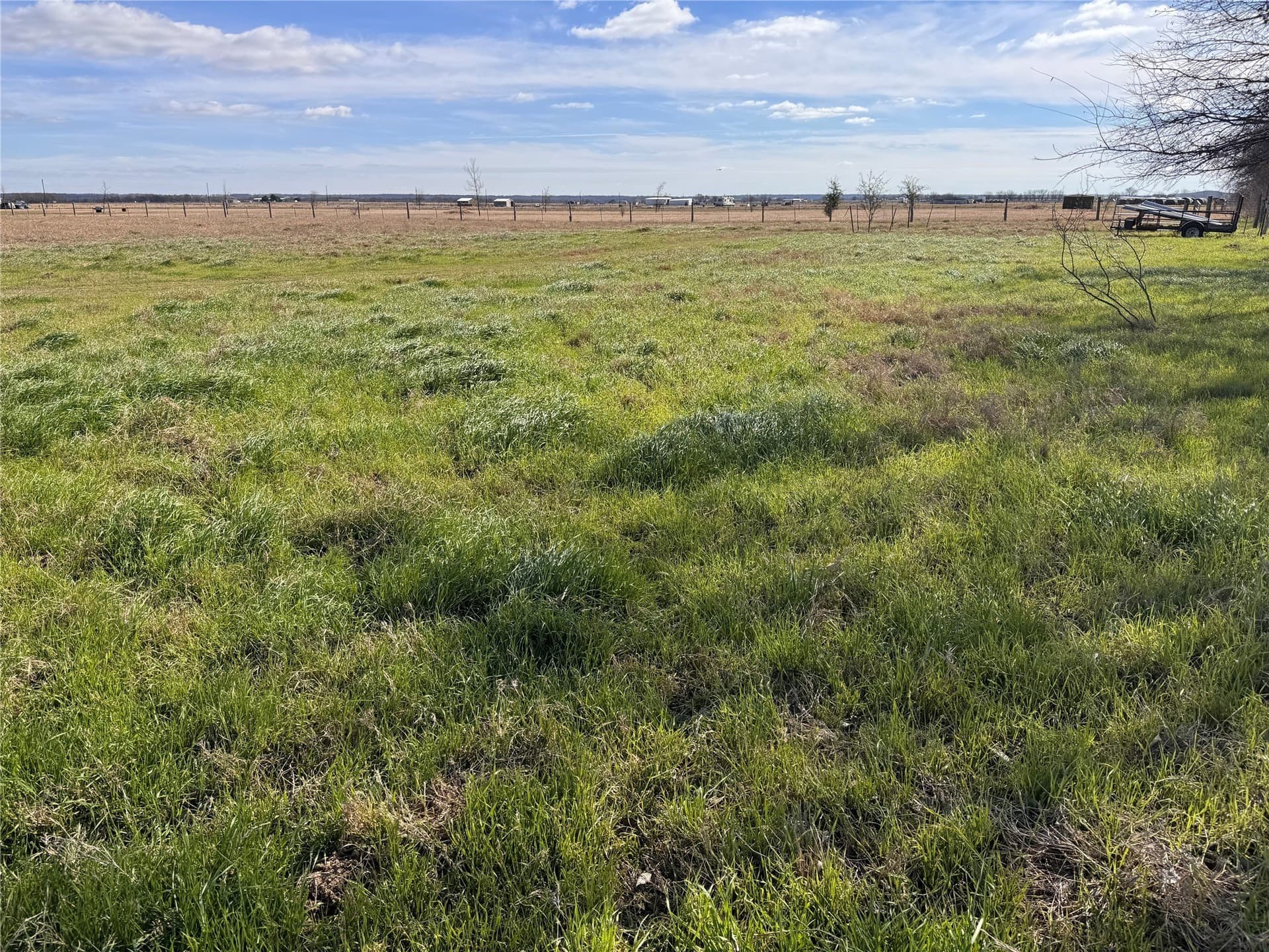 5.31 acres in Falls County gallery image 4