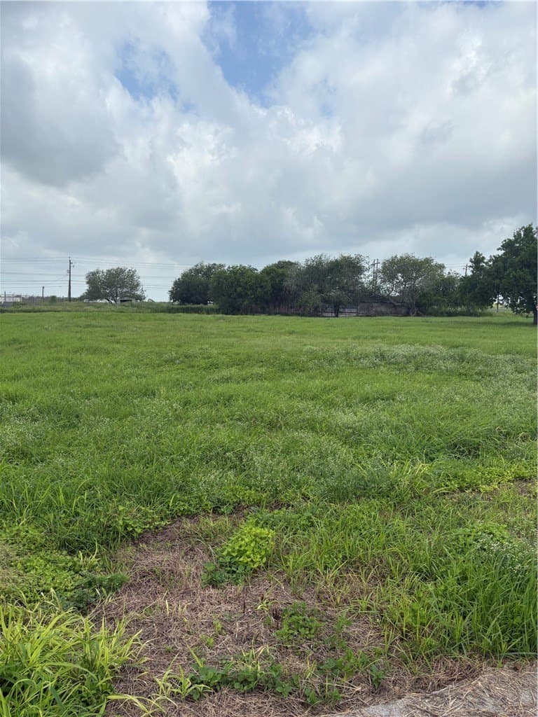 65,536 acres in Nueces County - photo 23