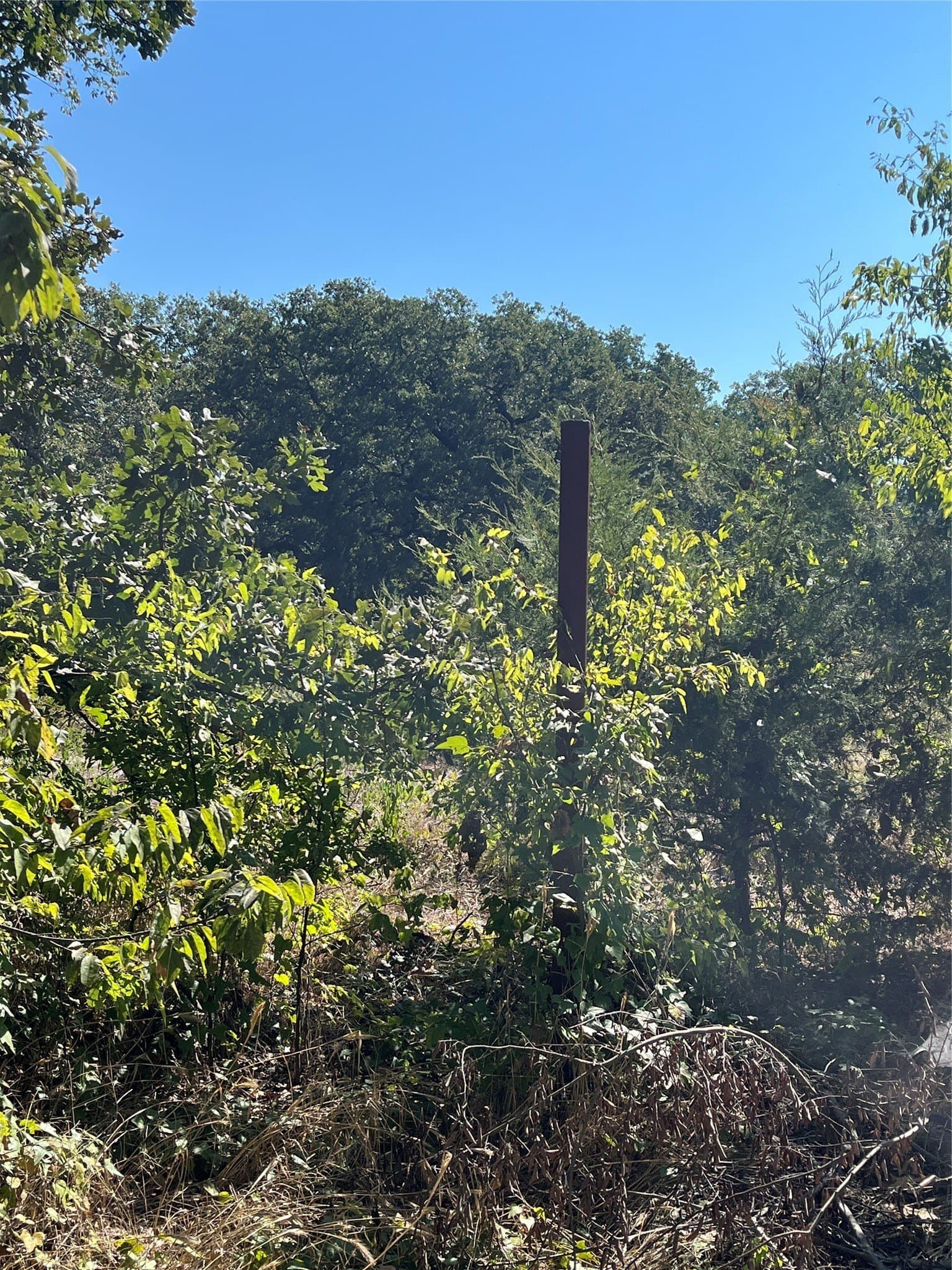 0.11 acres in Hunt County - photo 5
