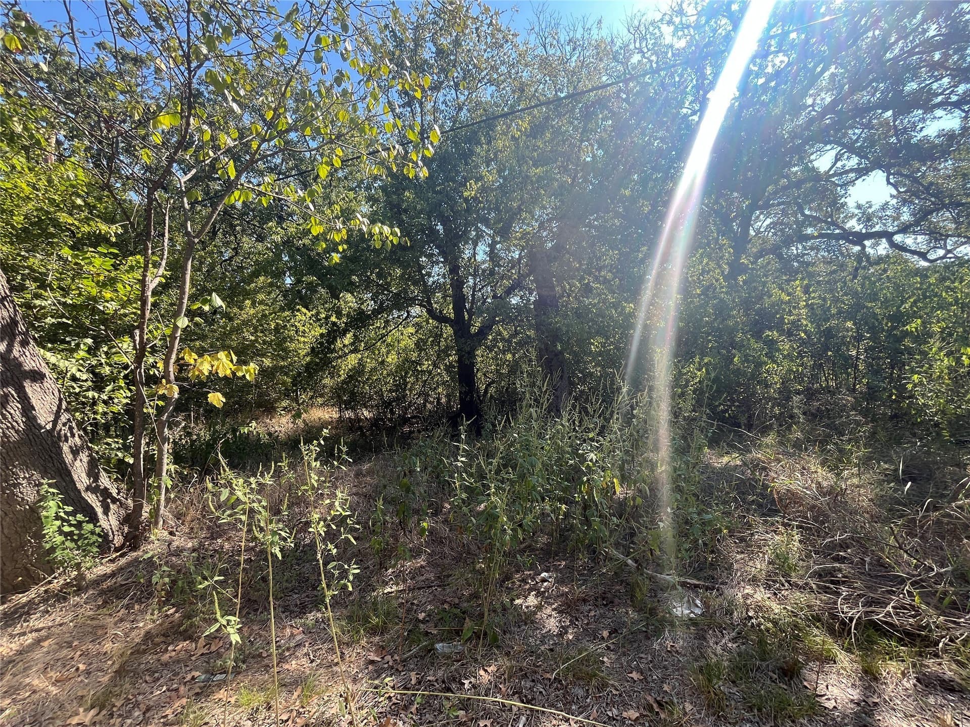 0.11 acres in Hunt County - photo 6
