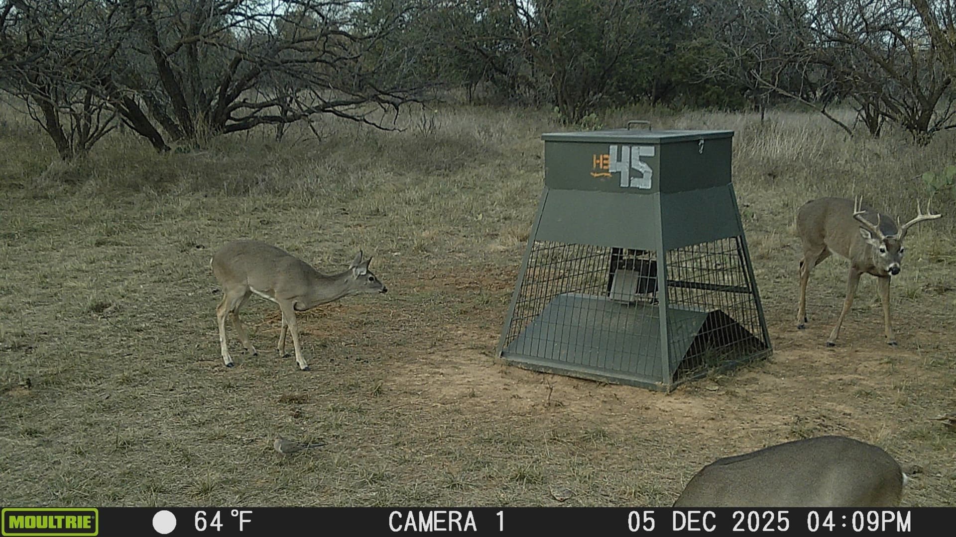147.05 acres in Stephens County - photo 11