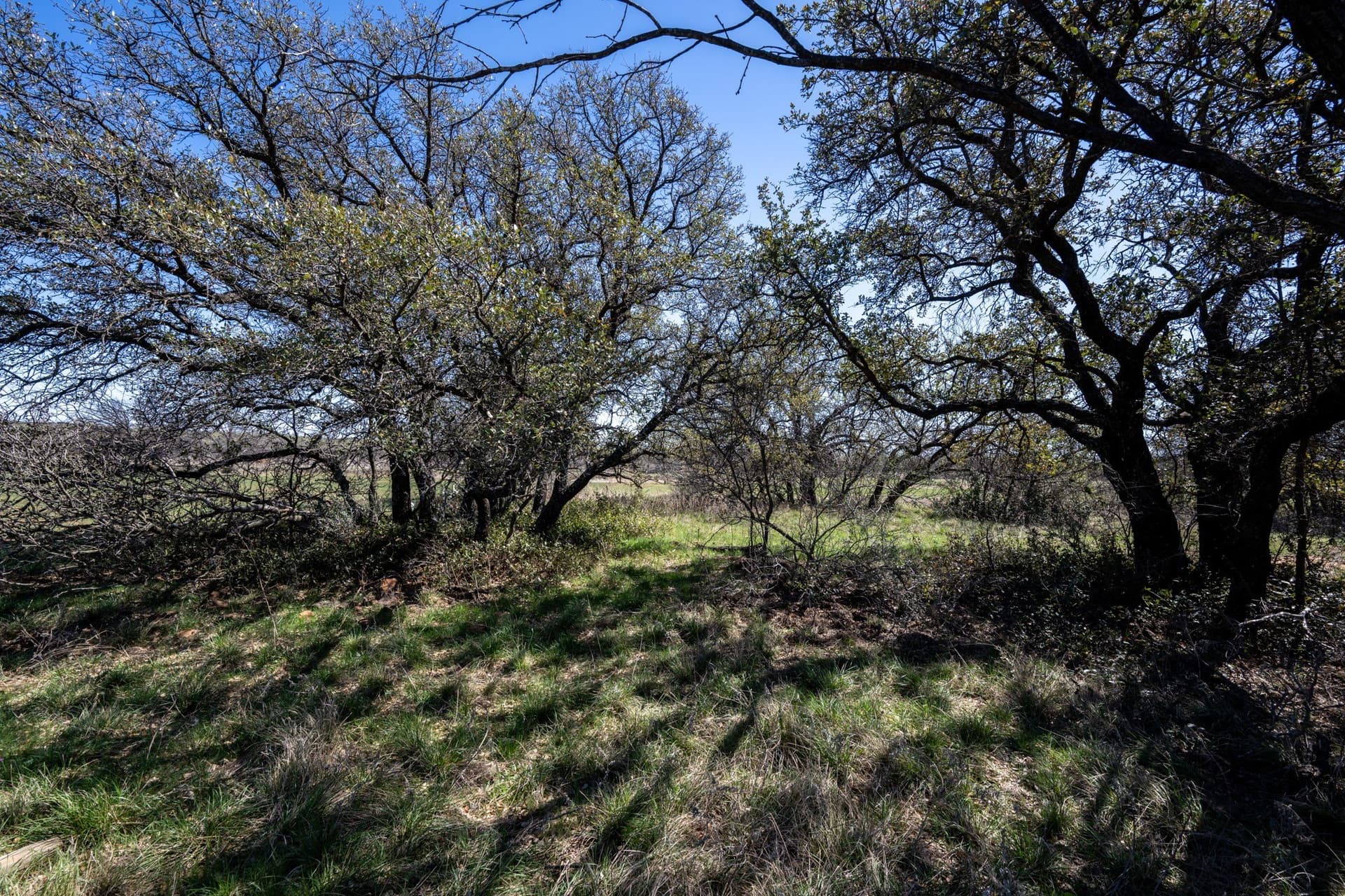 147.05 acres in Stephens County - photo 32