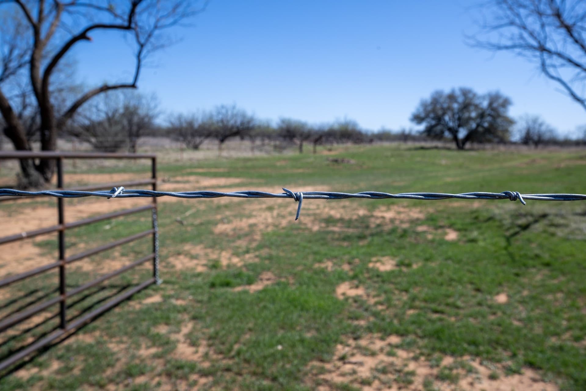 147.05 acres in Stephens County - photo 35
