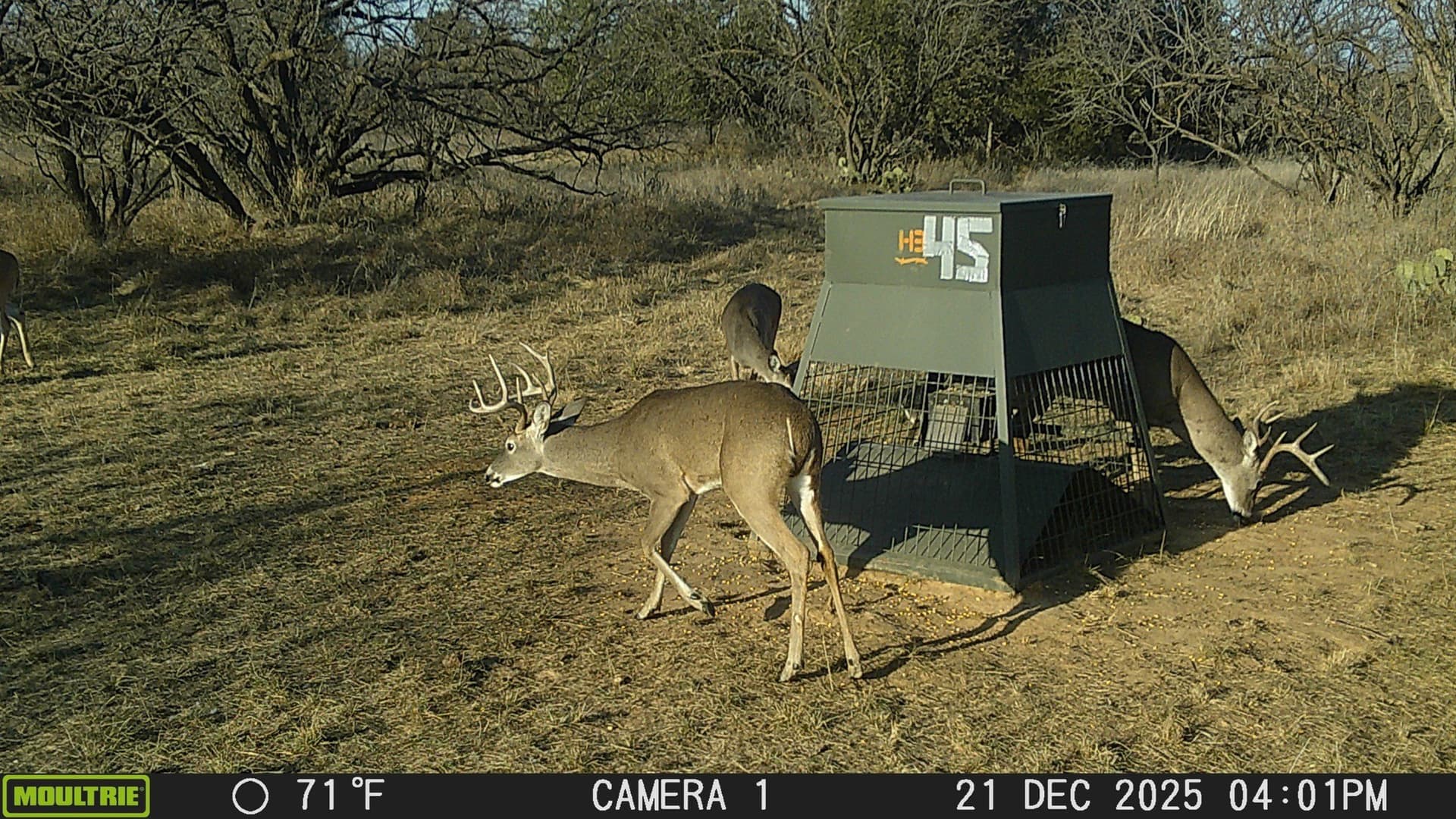 147.05 acres in Stephens County - photo 9