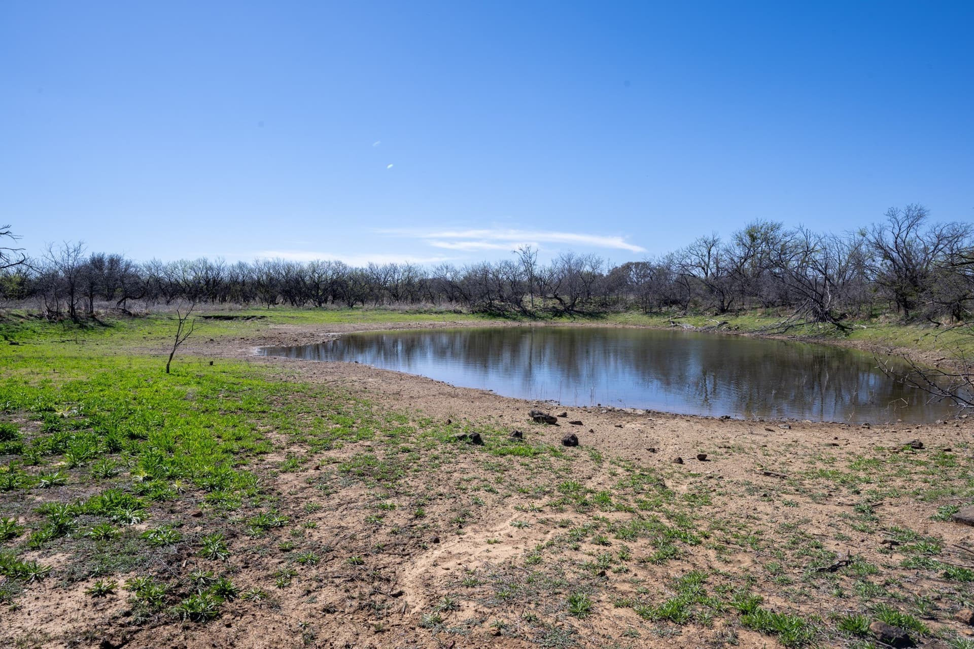 147.05 acres in Stephens County - photo 36