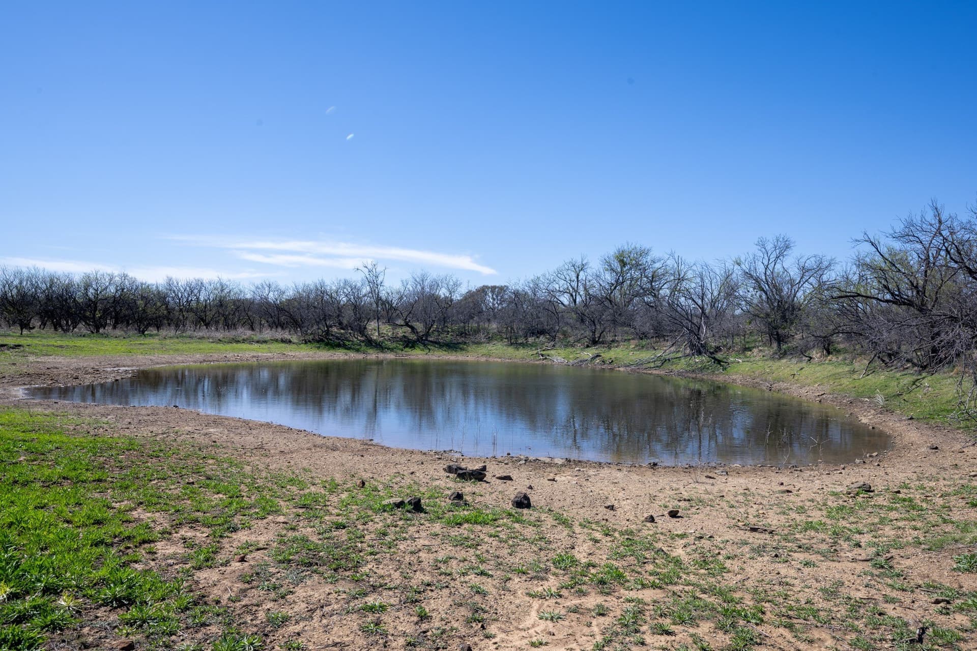 147.05 acres in Stephens County - photo 16