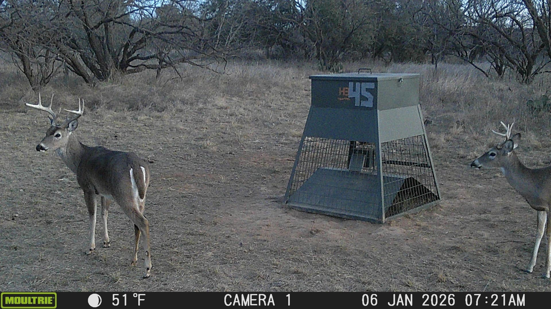 147.05 acres in Stephens County - photo 12