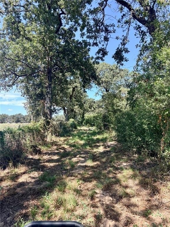 16.58 acres in Robertson County - photo 9