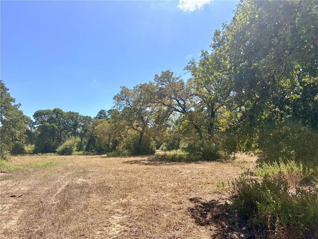 16.58 acres in Robertson County - photo 6