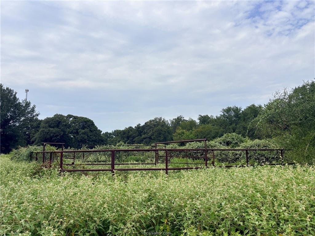 16.58 acres in Robertson County - photo 4