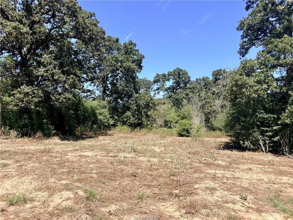 16.58 acres in Robertson County - photo 10