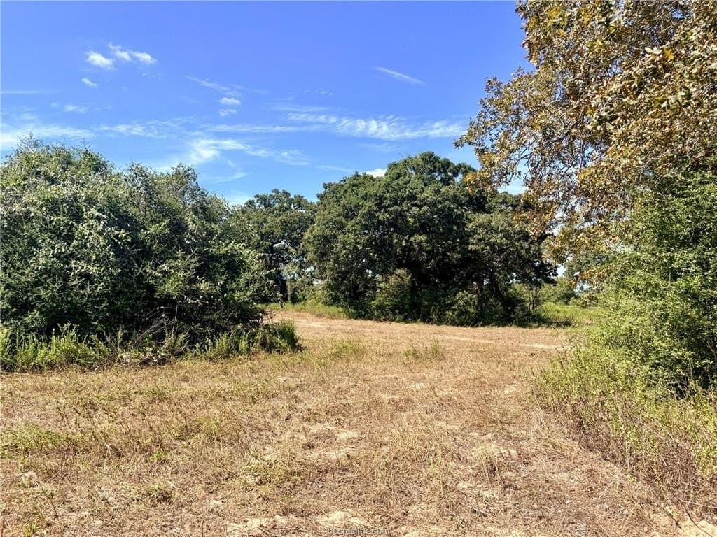 16.58 acres in Robertson County - photo 7