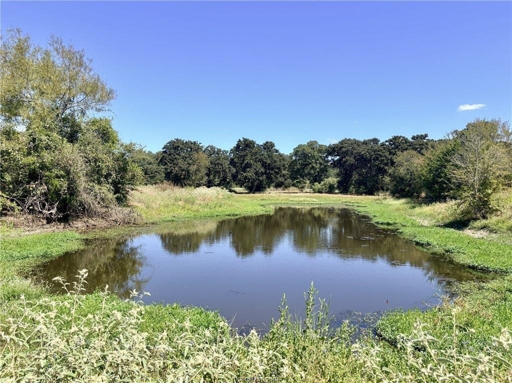 16.58 acres in Robertson County - photo 3